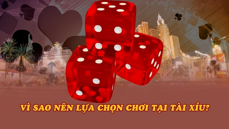 Vị trí ảnh